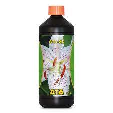 Ata XL