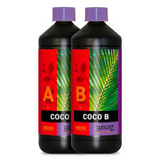 Coco A&B