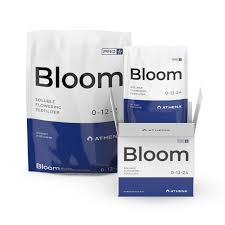 Pro Bloom