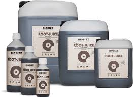 Root Juice