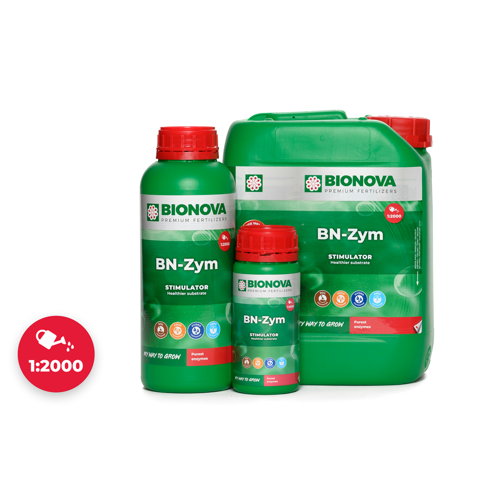 Bn Zym