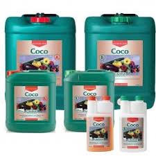 Coco A&B