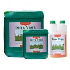 Terra Vega
