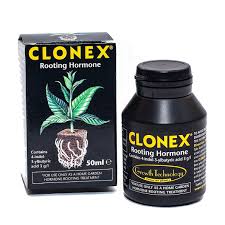 Clonex
