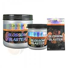 Blossom Blaster
