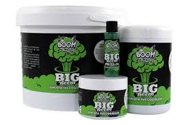 Big Boom