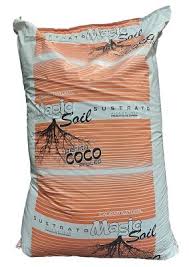 Magic Coco Pro Led Perlita
