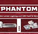 Phantom