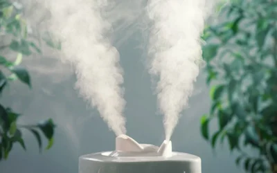 Importancia de la humedad en los cultivos de Cannabis de Interior: