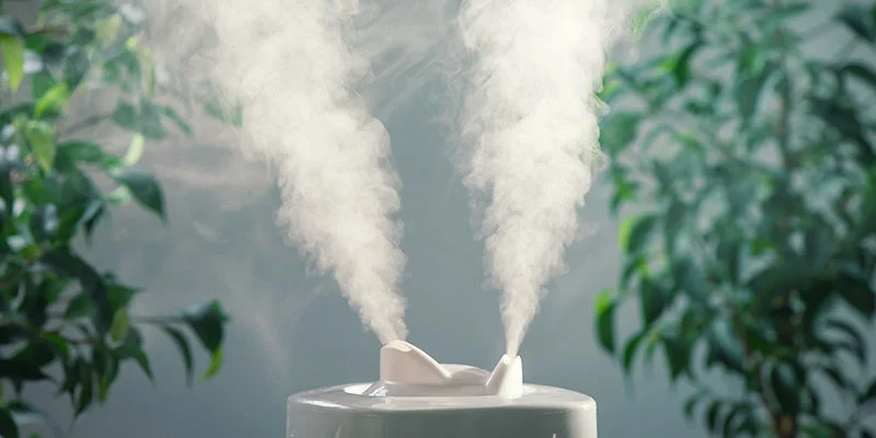 Types-Of-Humidifiers Importancia humedad en los cultivos de marihuana