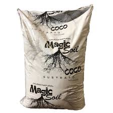 Coco Magic