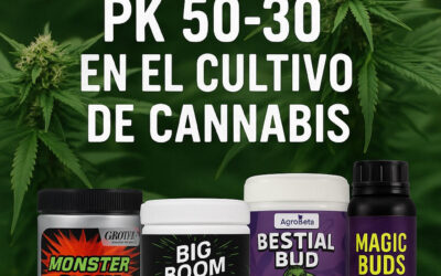 Uso de Pk 50-30 en cultivos de Cannabis:
