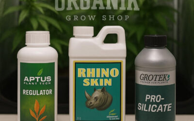 El silicio en el cultivo de marihuana: beneficios, tipos y cómo usarlo correctamente