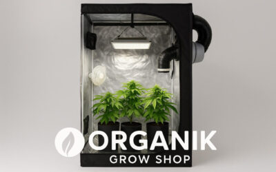 Guia completa para montar un armario de cultivo con Led.