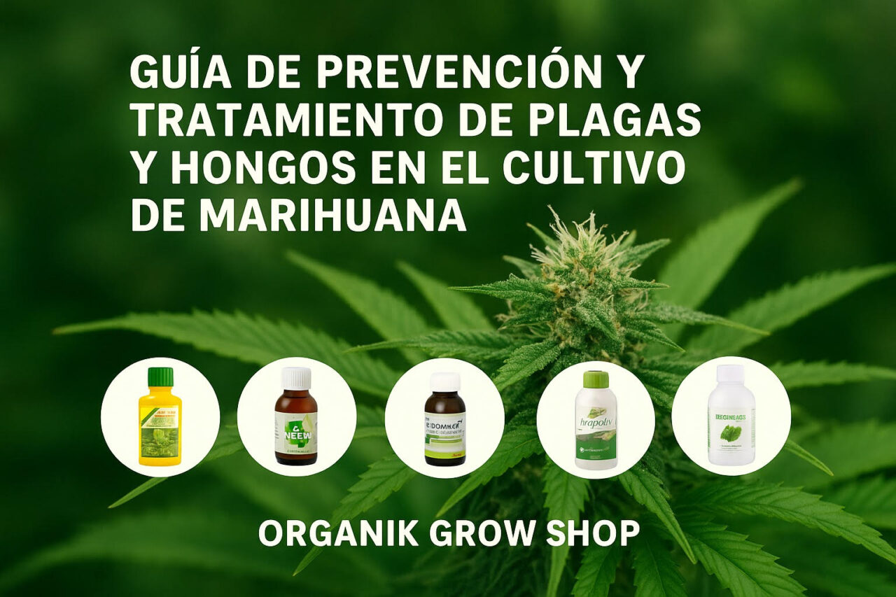 unnamedgg Guia de prevencion de plagas