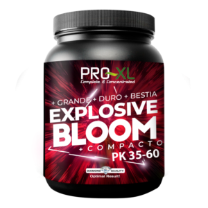 Explosive Bloom