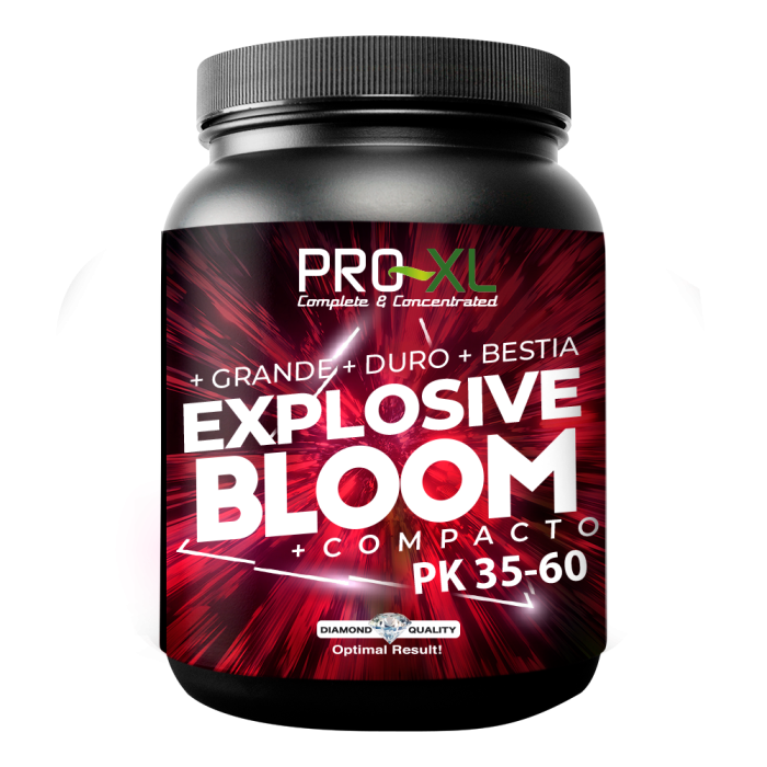 Explosive Bloom