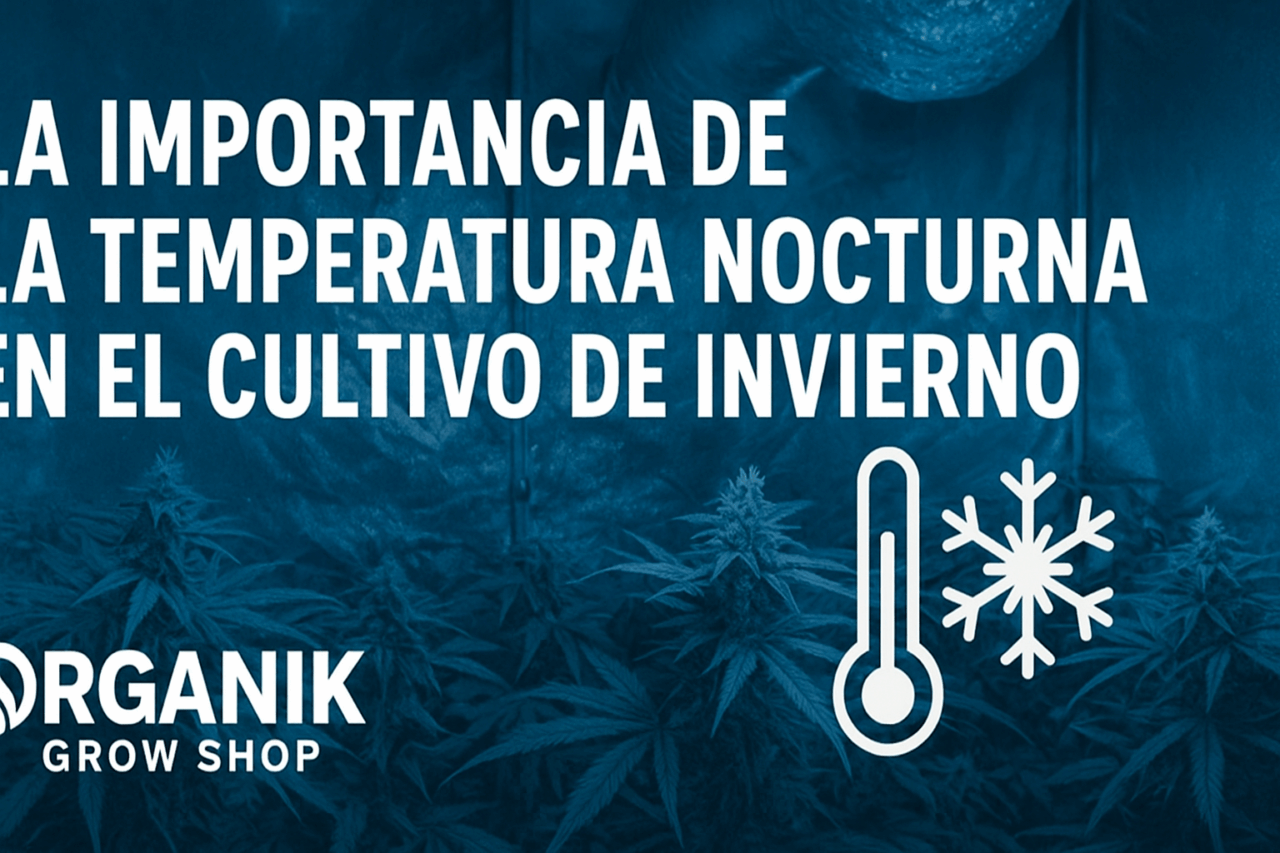 La importancia de la temperatura nocturna en el cultivo de invierno