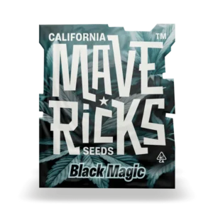 Black Magic Mavericks Seeds