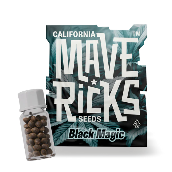 Black Magic Mavericks Seeds