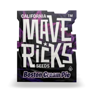 Boston Cream Pie Mavericks Seeds