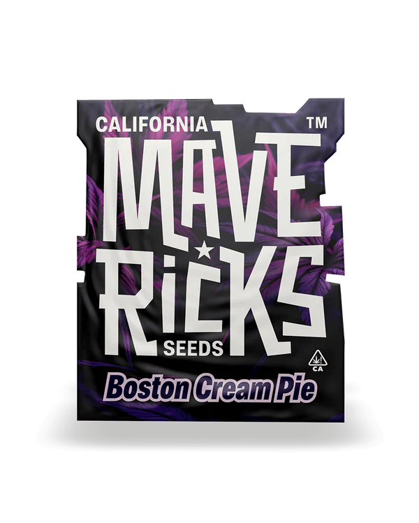 Boston Cream Pie Mavericks Seeds