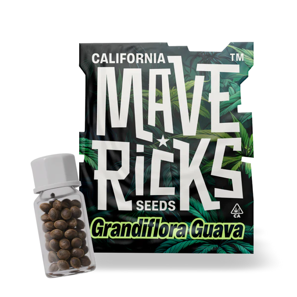 Grandiflora Guava Mavericks Seeds