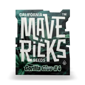 Gorilla Glue #4 Mavericks Seeds