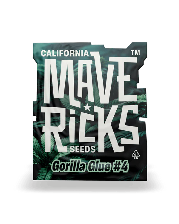 Gorilla Glue #4 Mavericks Seeds
