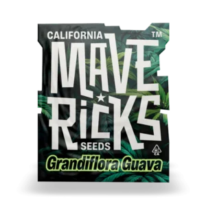 Grandiflora Guava Mavericks Seeds