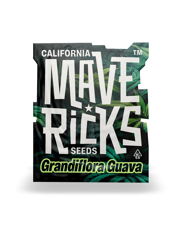 Grandiflora Guava Mavericks Seeds