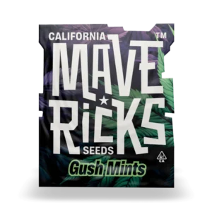 Gush Mints Mavericks Seeds