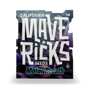 Motor Breath Mavericks Seeds