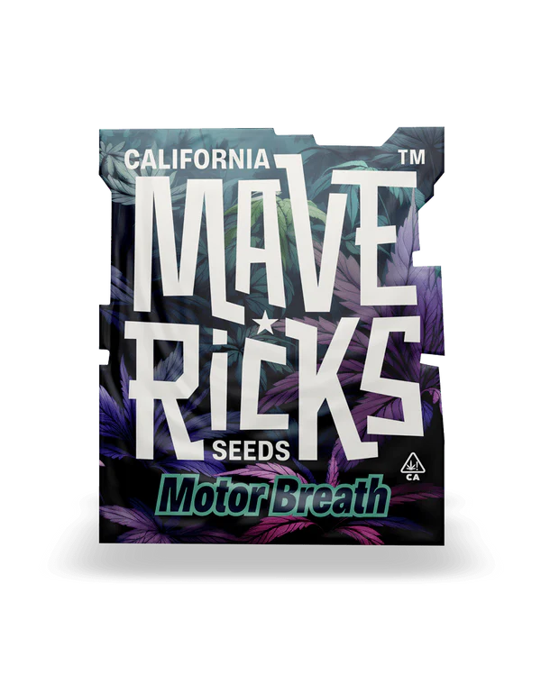 Motor Breath Mavericks Seeds