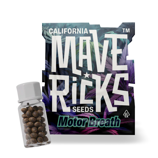 Motor Breath Mavericks Seeds - Imagen 2