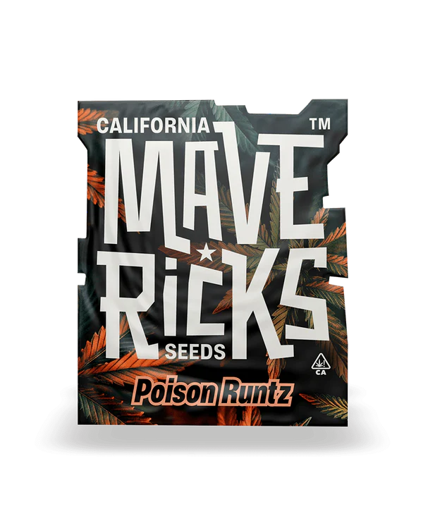 Poison Runtz Mavericks Seeds