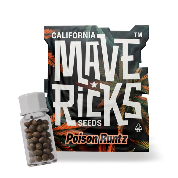 Poison Runtz Mavericks Seeds