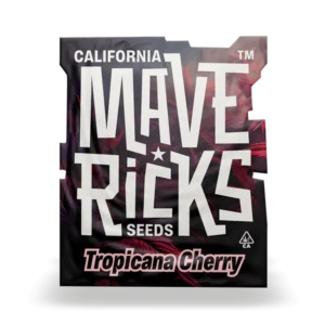 Tropicana Cherrys  Mavericks Seeds