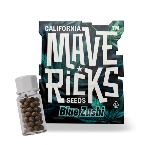 Blue Zushi Mavericks Seeds - Imagen 3