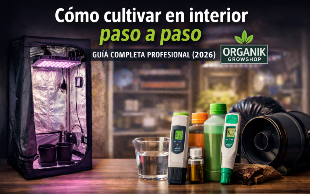 Como cultivar en interior paso a paso: Guia completa profesional 2026. Organik Growshop