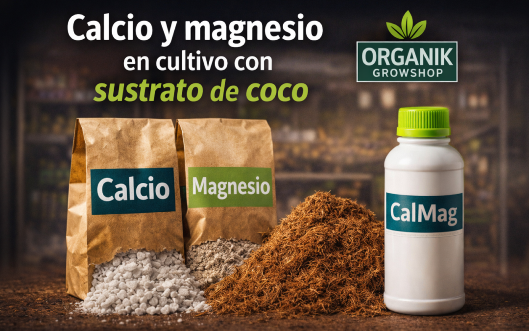 Guía técnica completa sobre el uso de calcio y magnesio en  coco