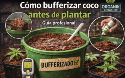 Cómo bufferizar coco antes de plantar correctamente | Guía profesional