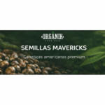 Semillas Mavericks