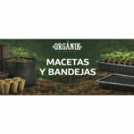 Macetas y Bandejas