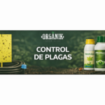 Control de Plagas