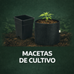 Macetas