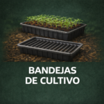 Bandejas