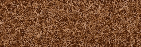 calcio magnesio coco