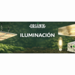 Iluminación