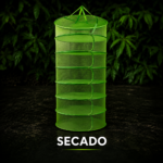 Secado
